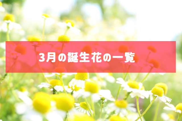 3月の誕生花の一覧 | 記念日・プレゼント・アレンジメント
